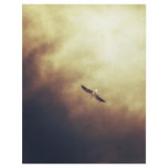 "Free Spirit" Soar above your impossibilities flyers