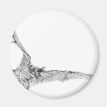 Free Tailed Bat Fridge Magnets