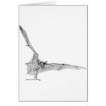 Free Tailed Bat Greeting Card