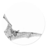 Free Tailed Bat Round Sticker