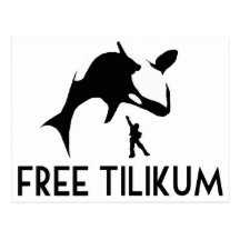 Free Tilikum Save the Orca Killer Whale Post Card