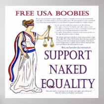 Free USA Boobies Poster