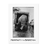 Freedom = Liberation postcards