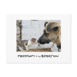 Freedom = Liberation postcards