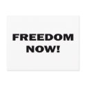 Freedom Now! postcards