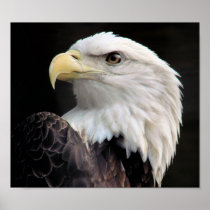 Freedom Print