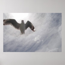 Freedom Poster