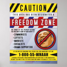 Freedom Zone Poster