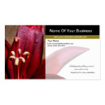 Freelance Photographer Red Lily Flower Business Card Template