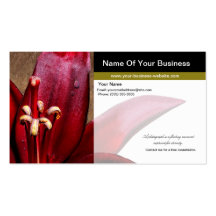 Freelance Photographer Red Lily Flower Business Card Template