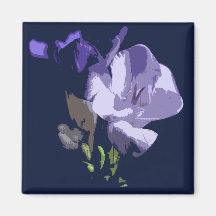 Freesia Magnet