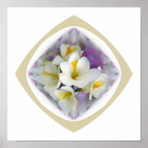 Freesia White Lavender Poster