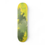 FreeVector-Palm-Trees.ai skateboards