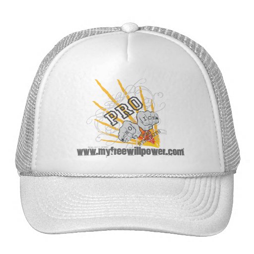 freewillpower: dana's cap hat