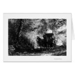 Freight Horses Taking a Break Greeting Card