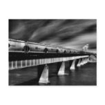 Freight Train Post Card