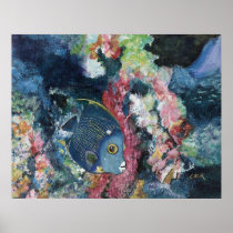 French Angelfish Poster