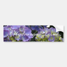 French Baby Blue Hydrangeas Bumper Stickers