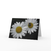 French Birthday Card, Daisies and Bee