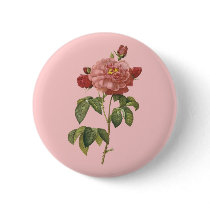French Botanical Beauty *Vintage Flowers* Pinback Buttons