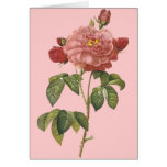 French Botanical Beauty *Vintage Flowers* Greeting Cards