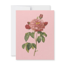 French Botanical Beauty *Vintage Flowers*