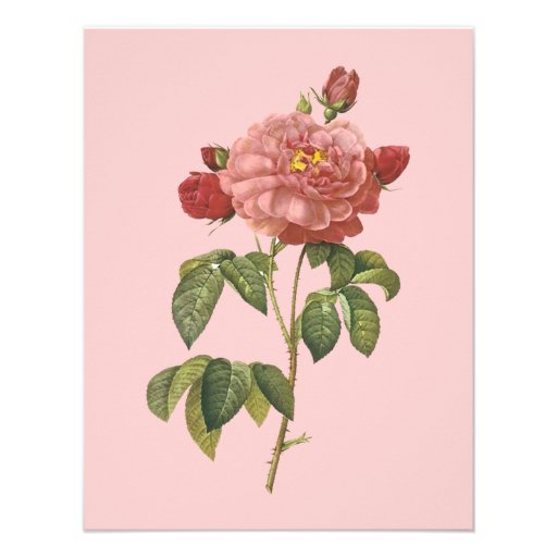 French Botanical Beauty *Vintage Flowers* Personalised Invites