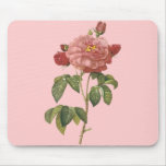French Botanical Beauty *Vintage Flowers* mousepads