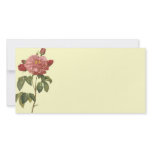 French Botanical Beauty *Vintage Flowers* photo cards