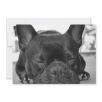 French Bull Dog Invitation