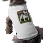 French Bulldog 9Y202D-134 pet clothing