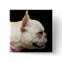French Bulldog button