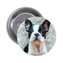 French Bulldog button