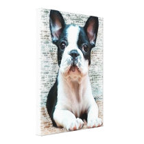 French Bulldog Canvas Art Print