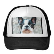 French Bulldog cap Trucker Hat