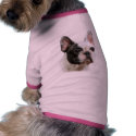 french bulldog dog t shirt pet clothing