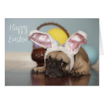 French Bulldog Easter Card!