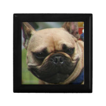 French bulldog gift box