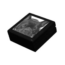French Bulldog Gift Box