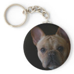 French Bulldog keychains