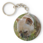 French Bulldog keychains