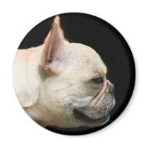 French Bulldog Magnet