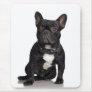 French Bulldog Mouse Pad