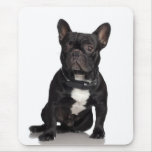 French Bulldog mousepads