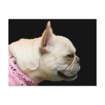 French Bulldog postcard