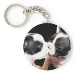 French bulldog puppies keychains