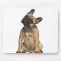 French Bulldog puppy (7 months old) Mouse Mats