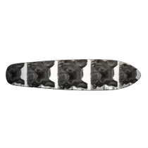 French Bulldog Skateboard