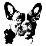 French Bulldog T-Shirt