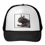 French Bulldog Trucker Hat
